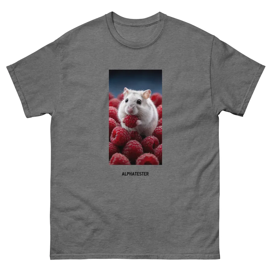T-shirt raspberry in Graphite Heather